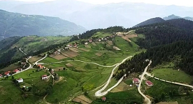 Ordu’nun En Büyük Yaylası: Çambaşı Yaylası