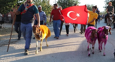 Anadolu'nun Unutulmuş Festivali: Sudan Koyun Atlatma Şenliği